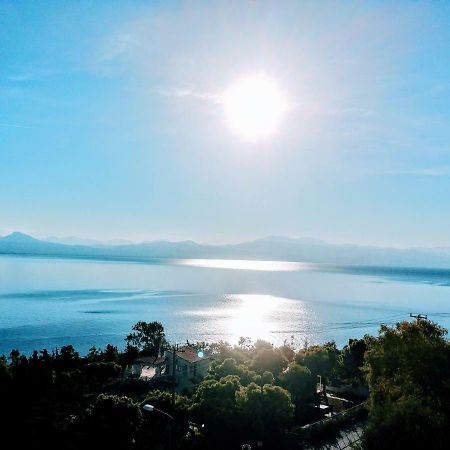 Katerina'S Maisonnette Λουτράκι Εξωτερικό φωτογραφία